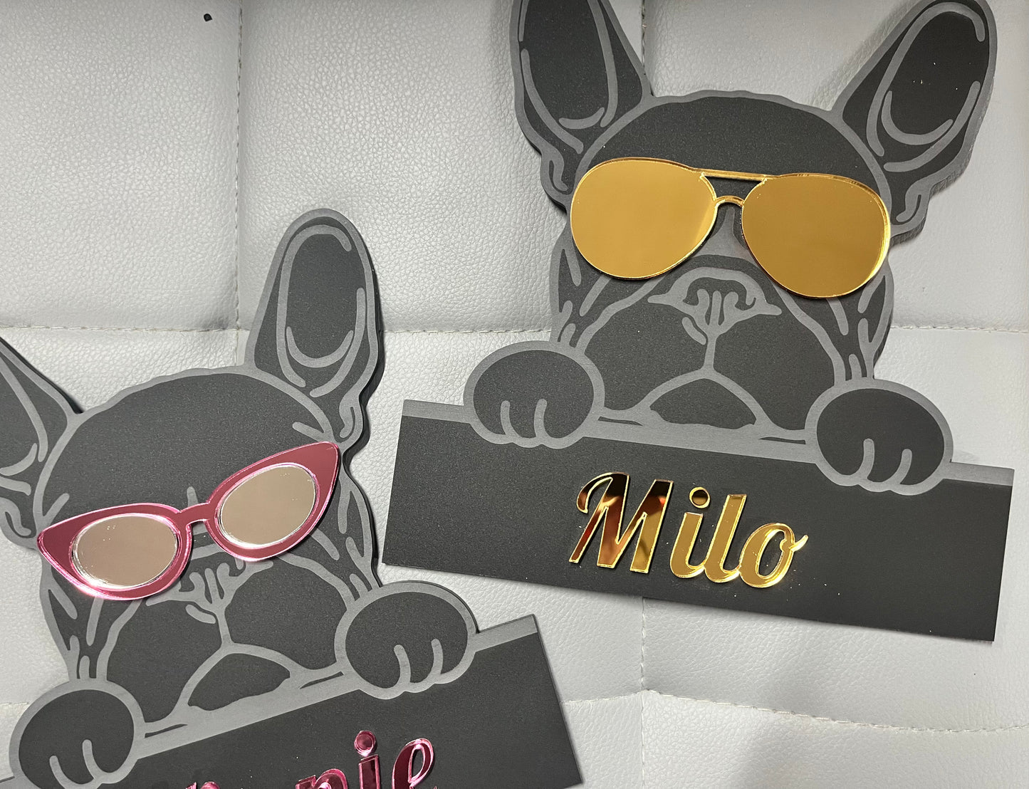Pimp up your Pooch - Wall Art - Signage