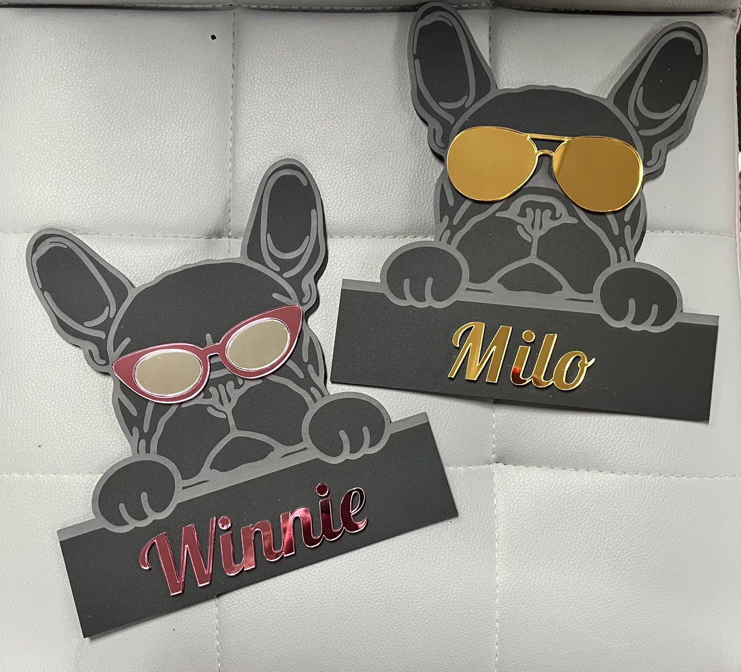 Pimp up your Pooch - Wall Art - Signage