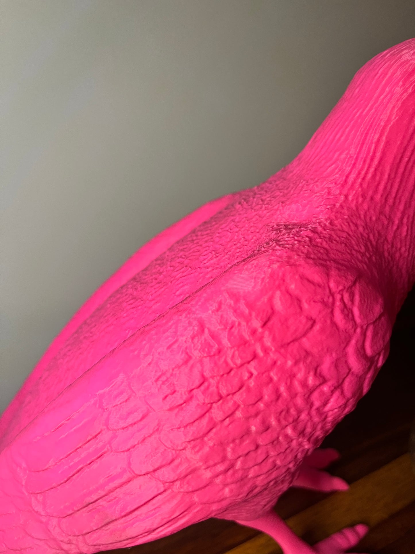 Neon Pink Raven Lamp