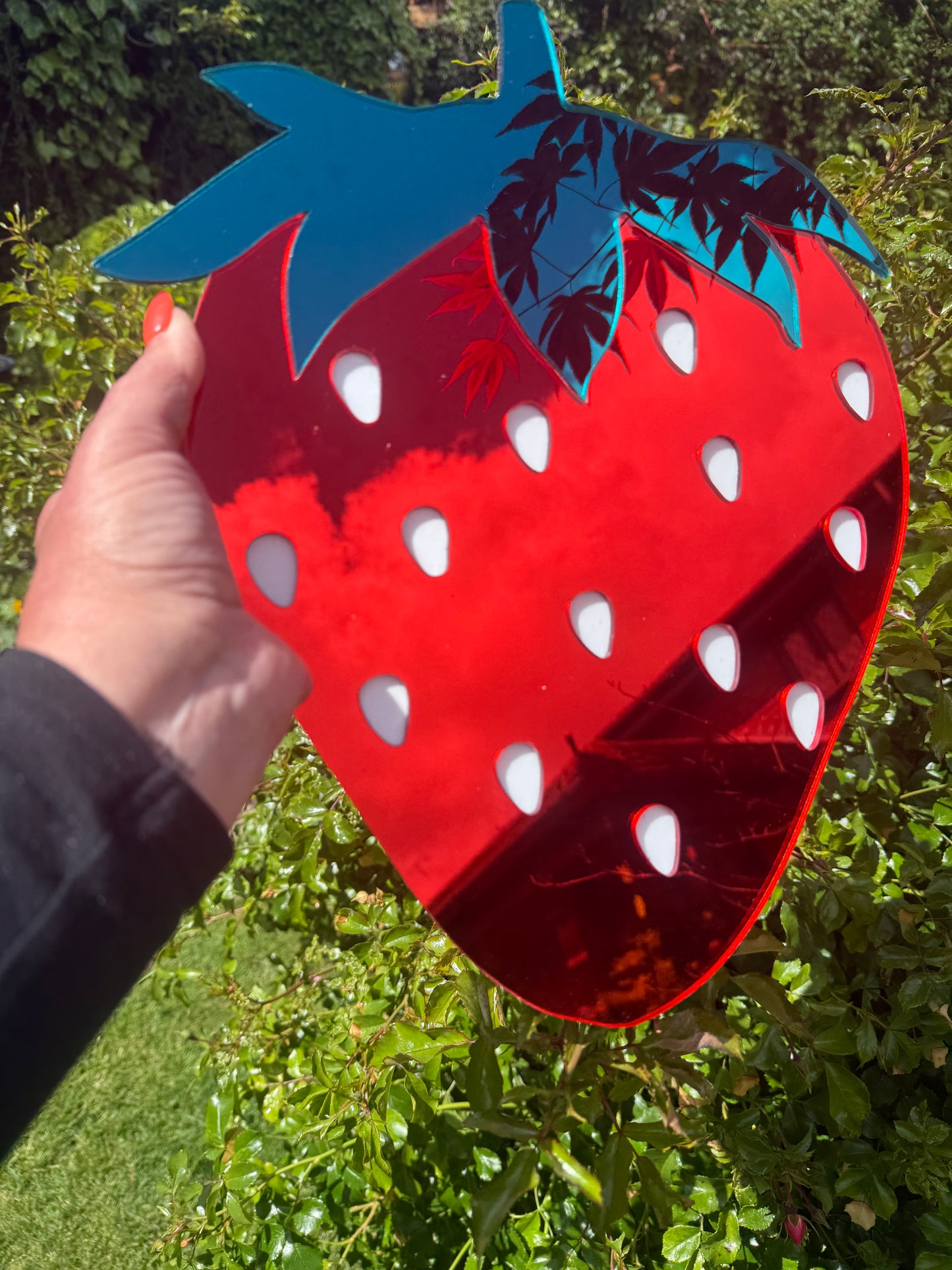 Strawberry Mirror Wall Art