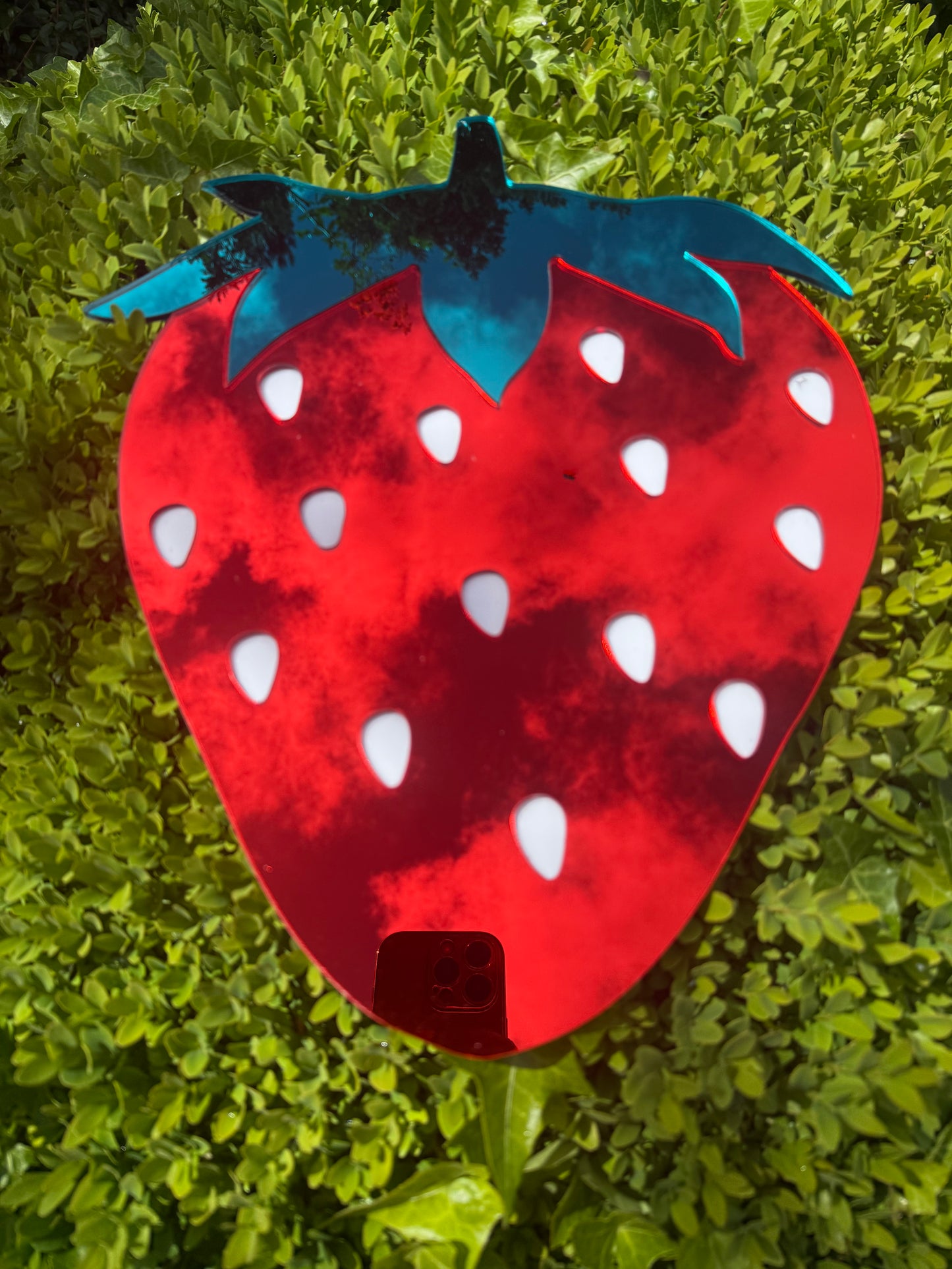 Strawberry Mirror Wall Art