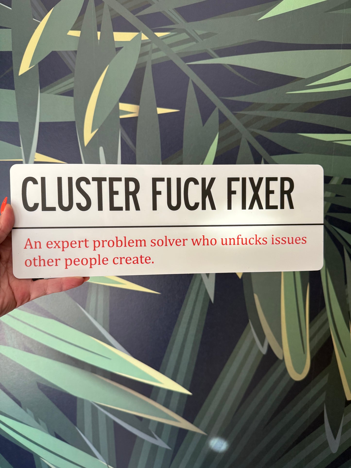 CLUSTER FUCK FIXER Wall Sign