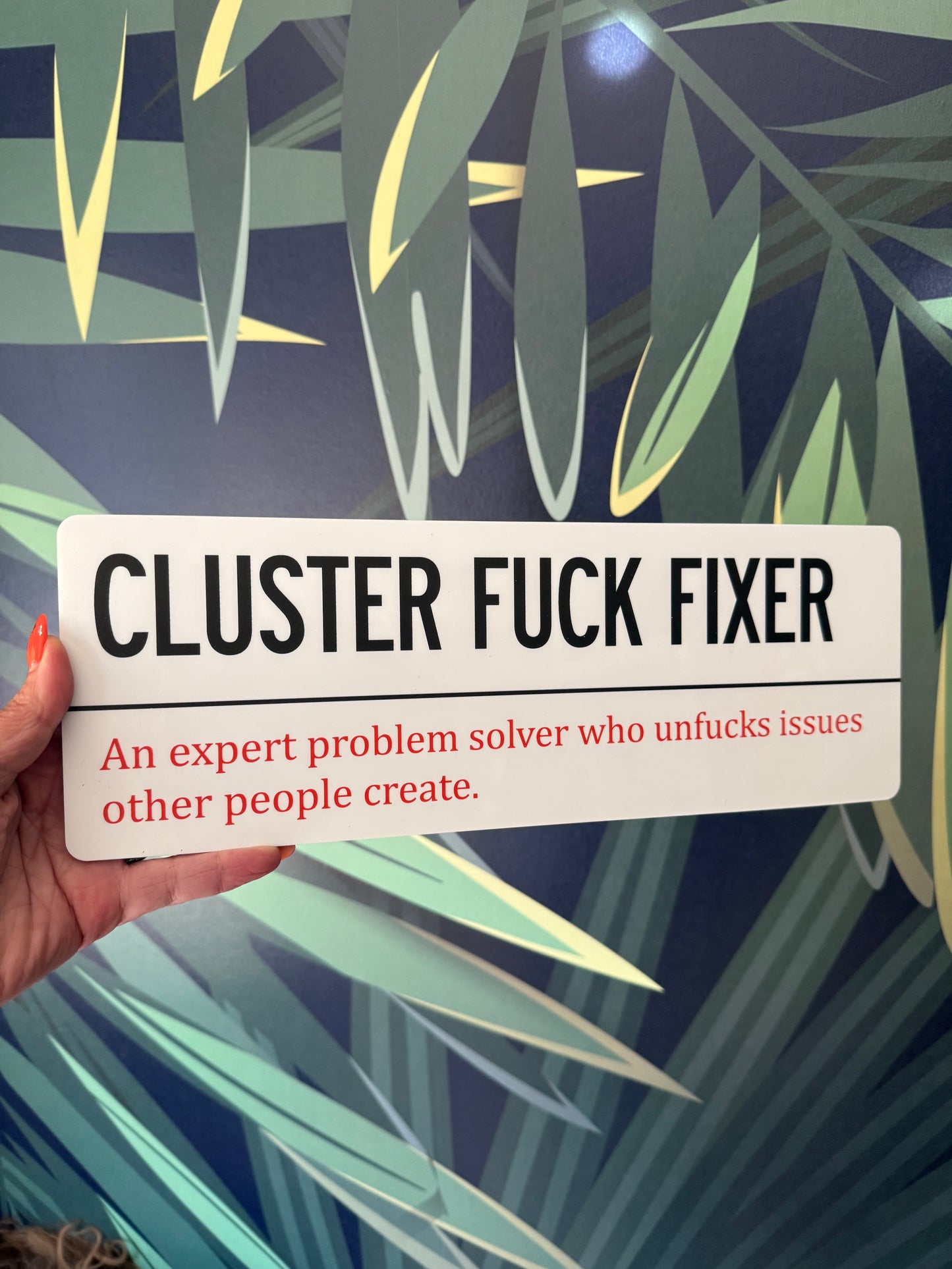 CLUSTER FUCK FIXER Wall Sign