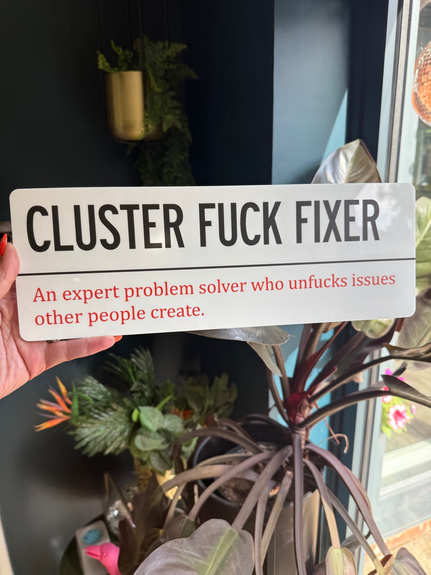 CLUSTER FUCK FIXER Wall Sign