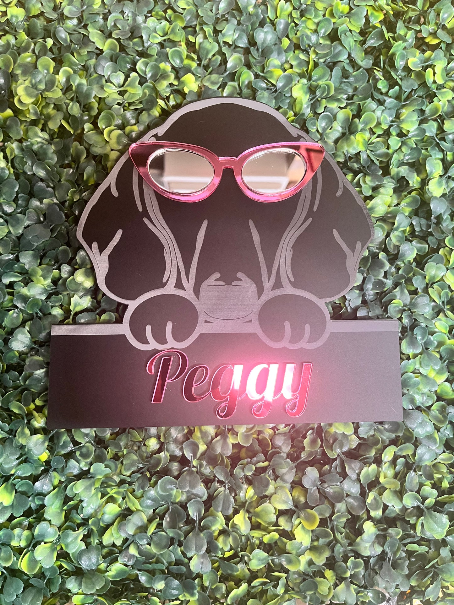 Pimp up your Pooch - Wall Art - Signage