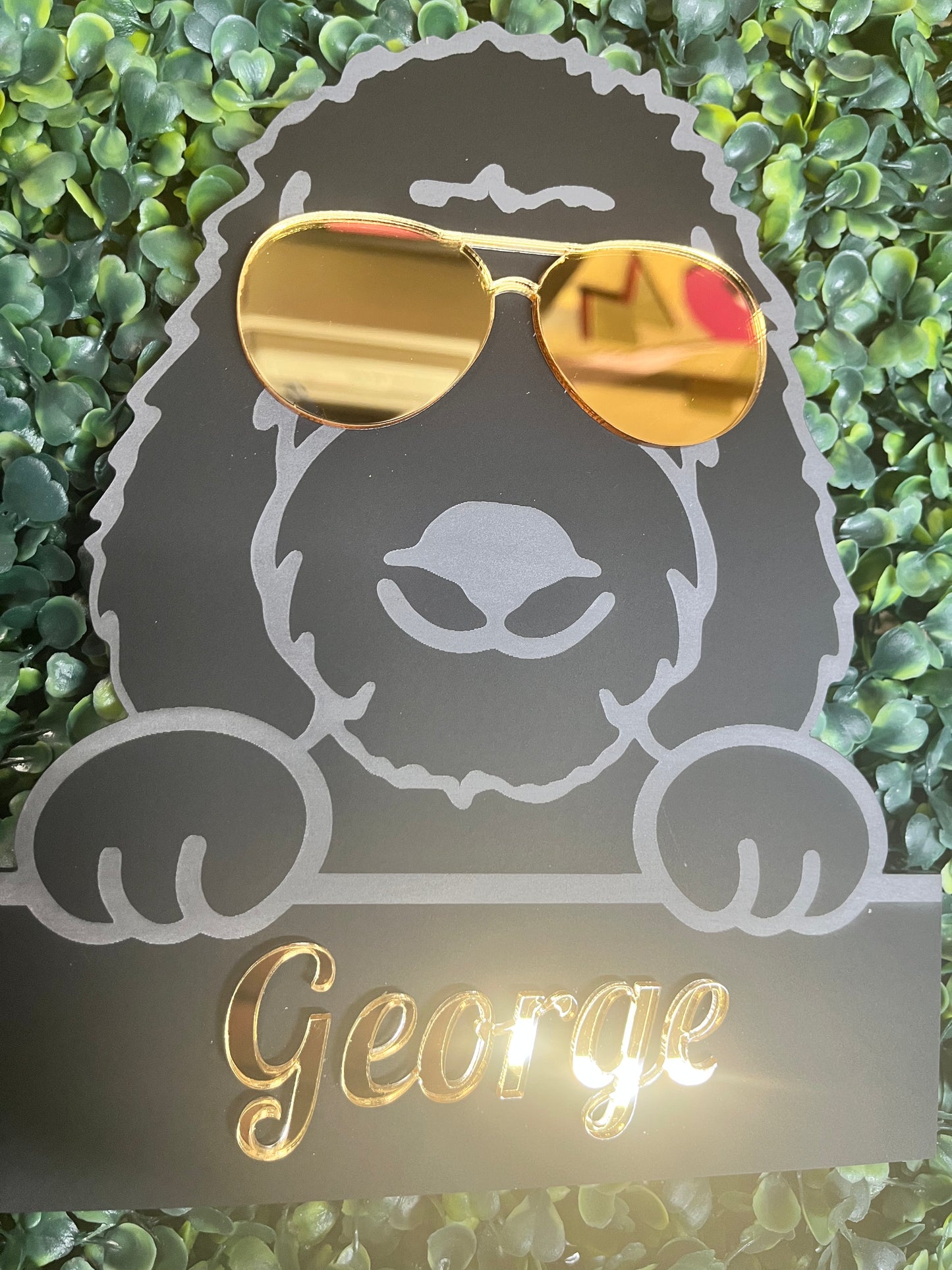 Pimp up your Pooch - Wall Art - Signage