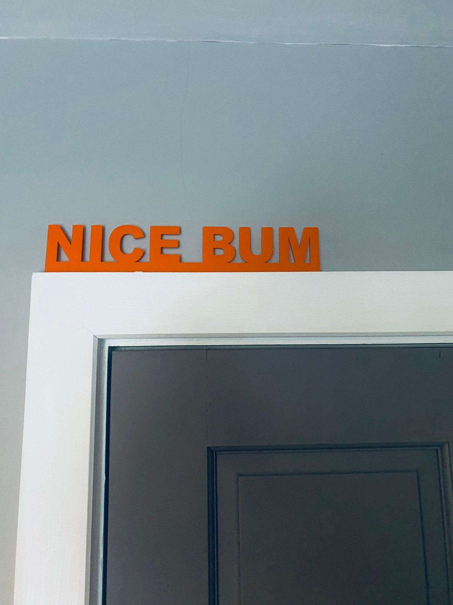 NICE BUM - door topper, shelf decor, wall decor