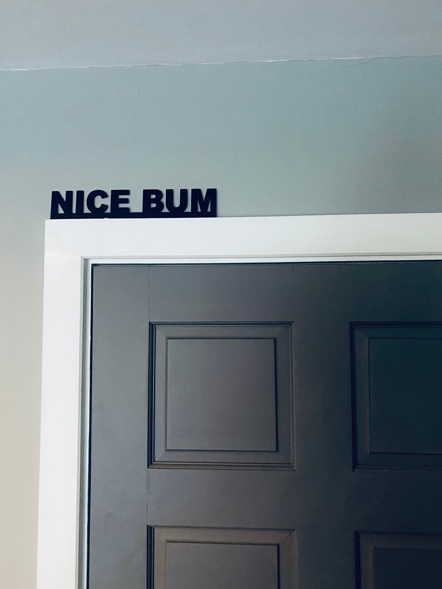 NICE BUM - door topper, shelf decor, wall decor