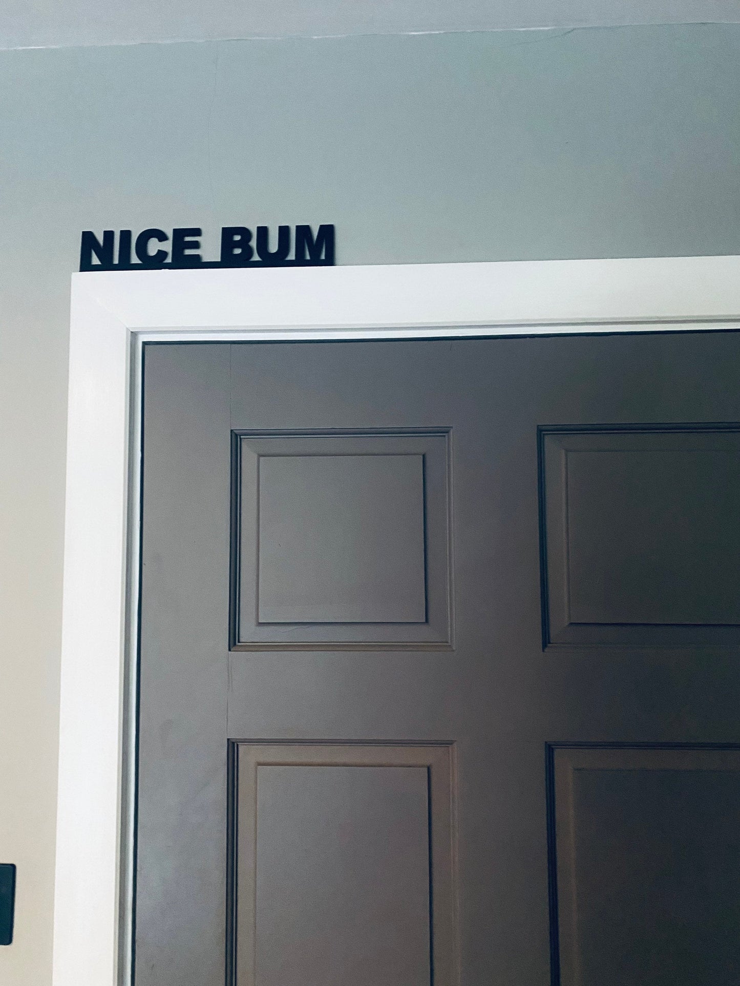 NICE BUM - door topper, shelf decor, wall decor