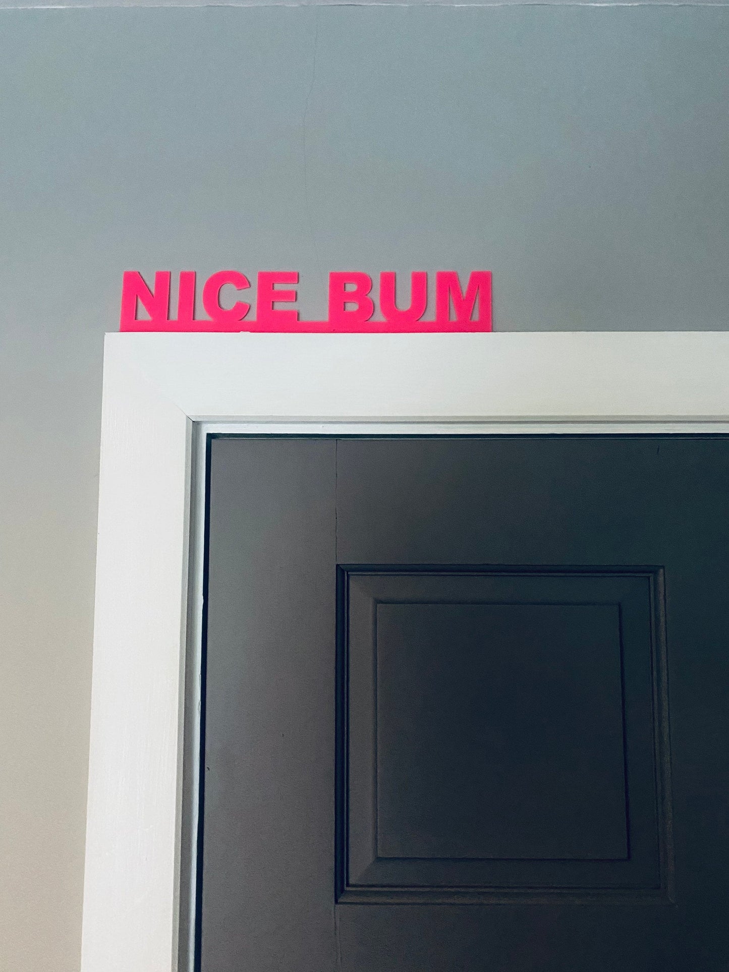NICE BUM - door topper, shelf decor, wall decor