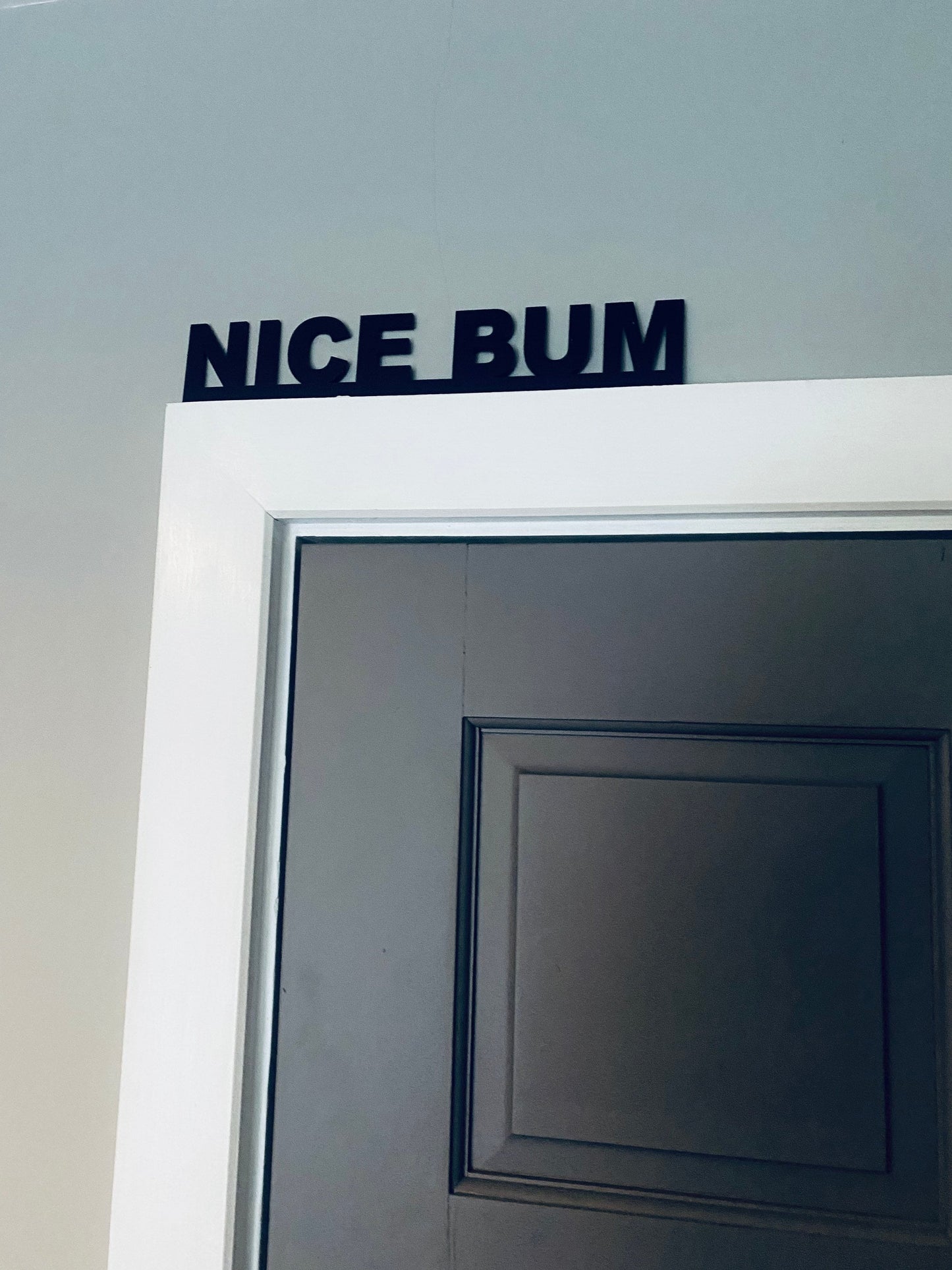 NICE BUM - door topper, shelf decor, wall decor
