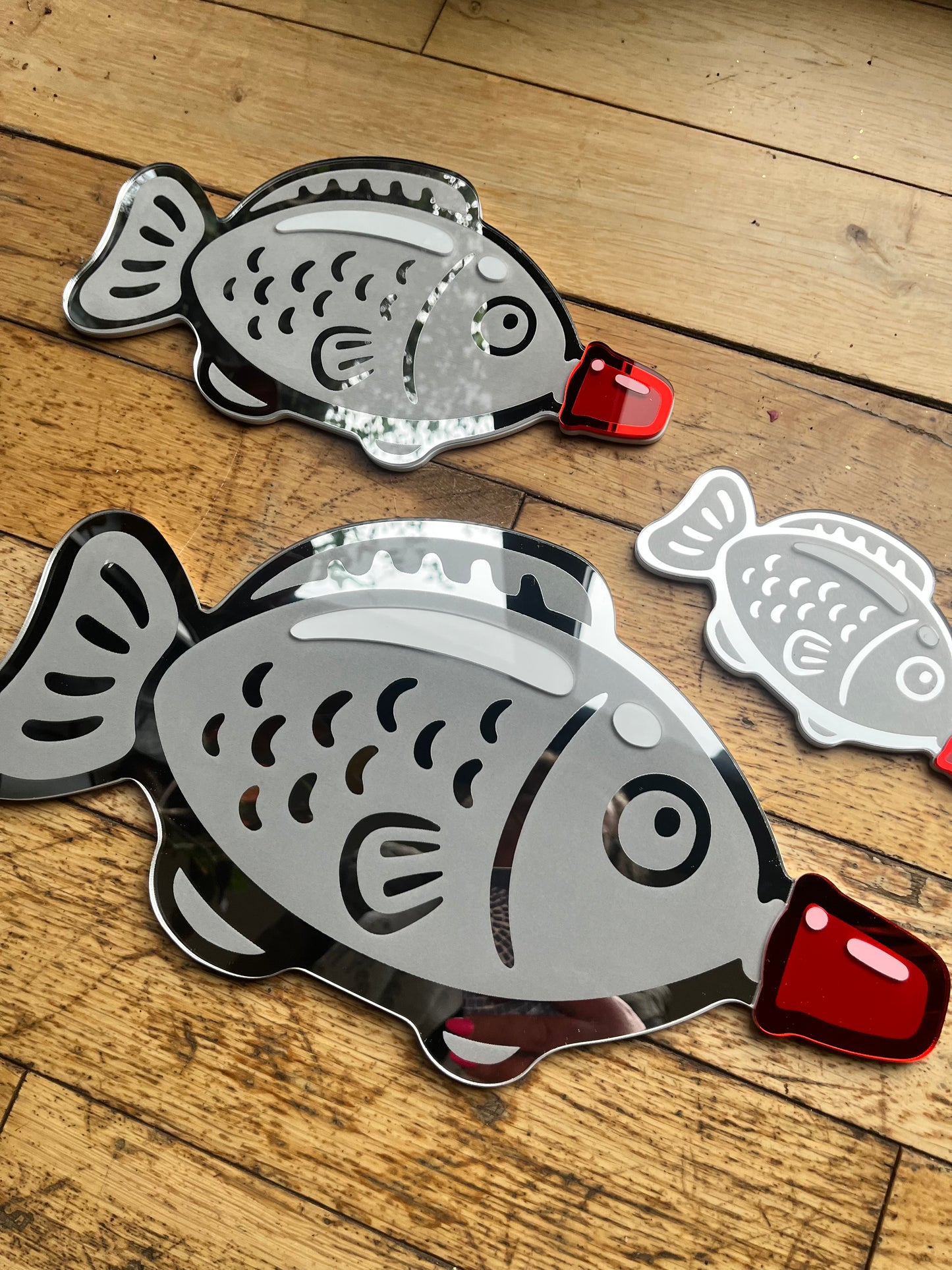 Soy Sauce Fish Mirror Wall Art