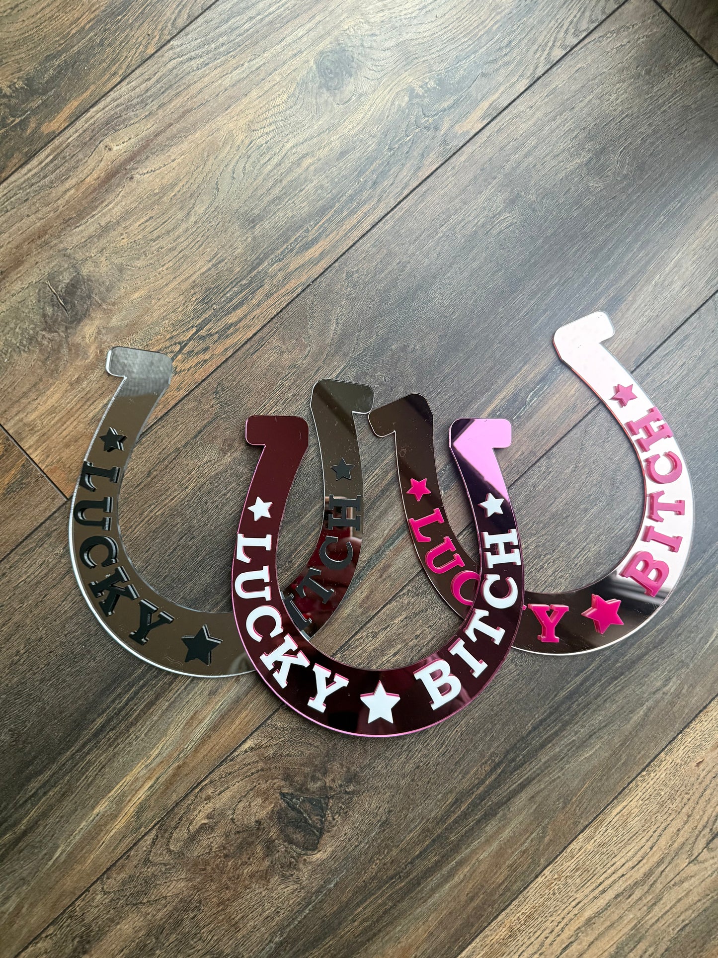 Lucky Bitch Horse Shoe Wall Art