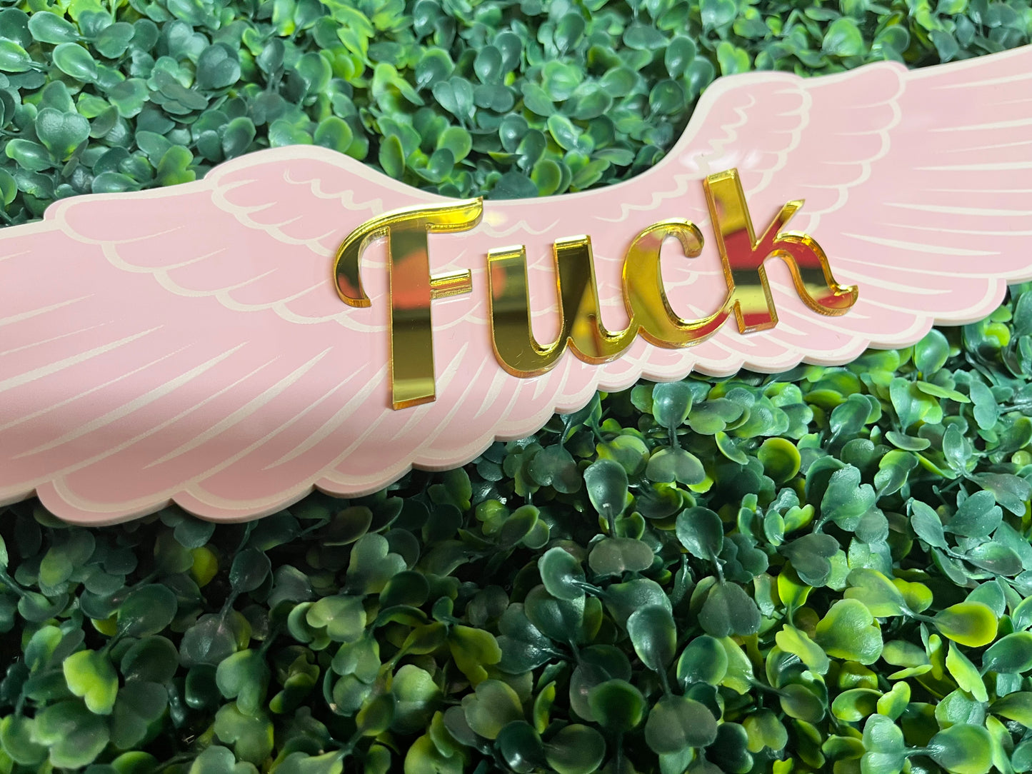 Flying Fuck Wall Decor