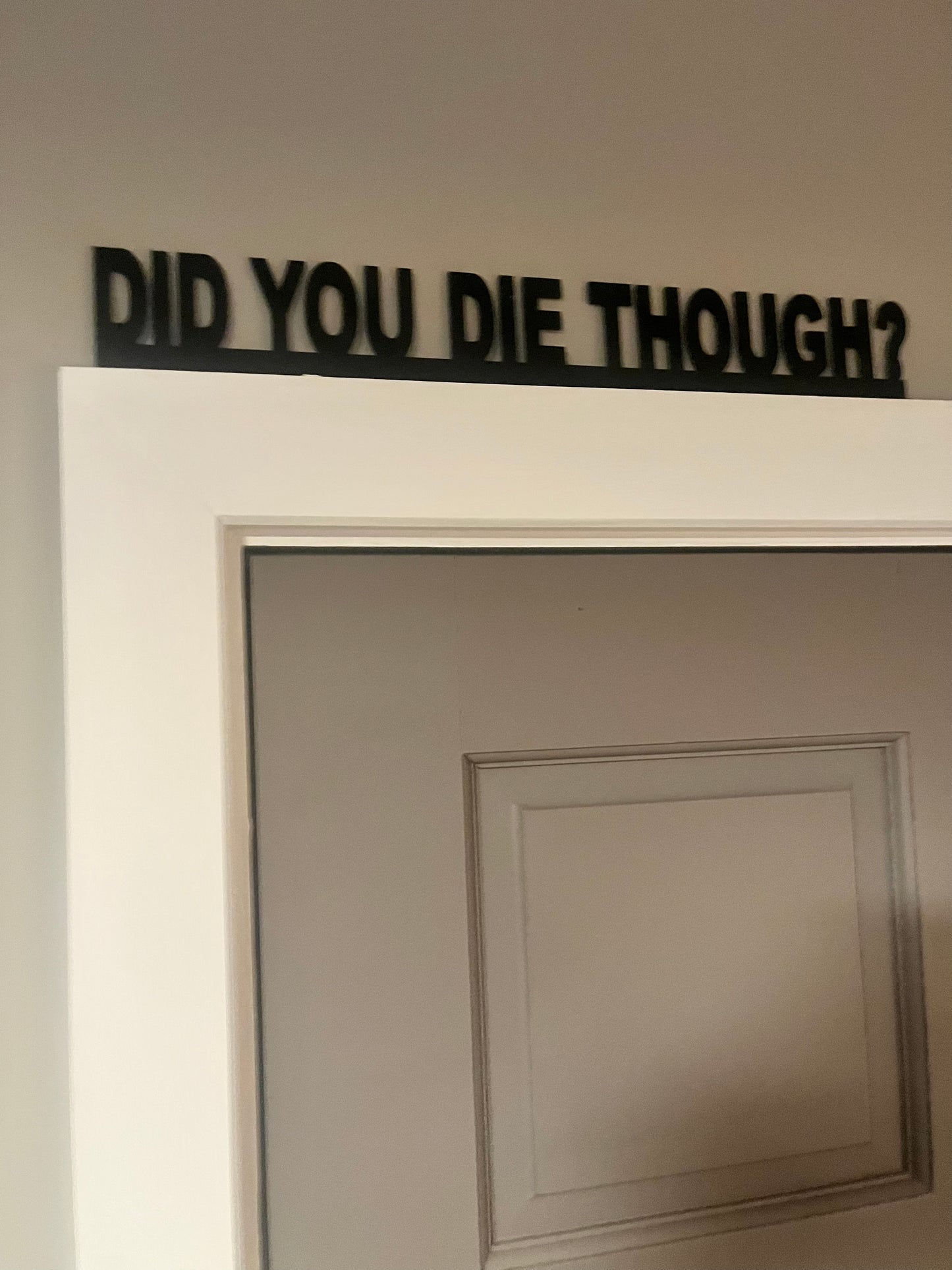 DID YOU DIE THOUGH? door topper, shelf decor, wall decor