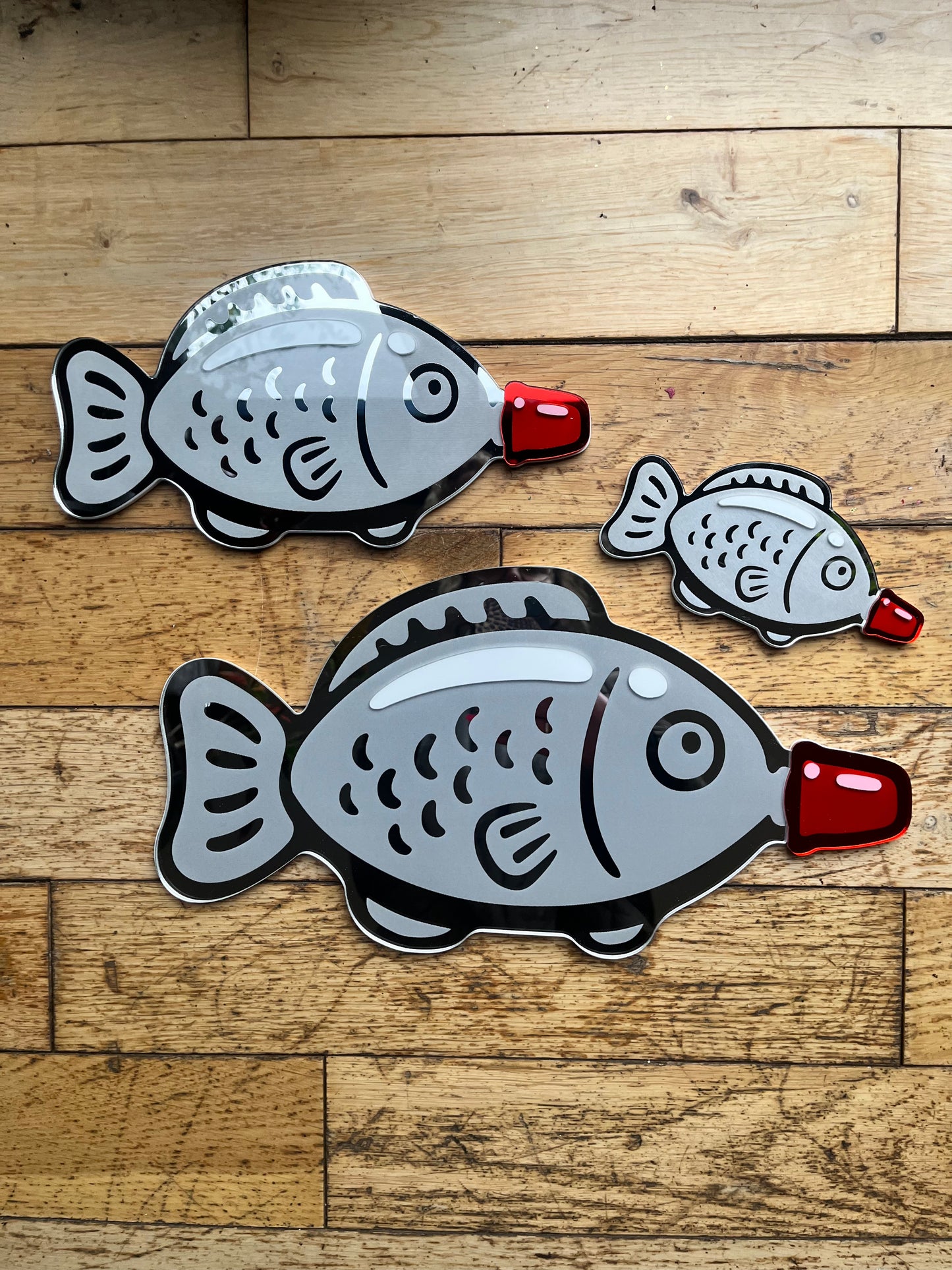 Soy Sauce Fish Mirror Wall Art