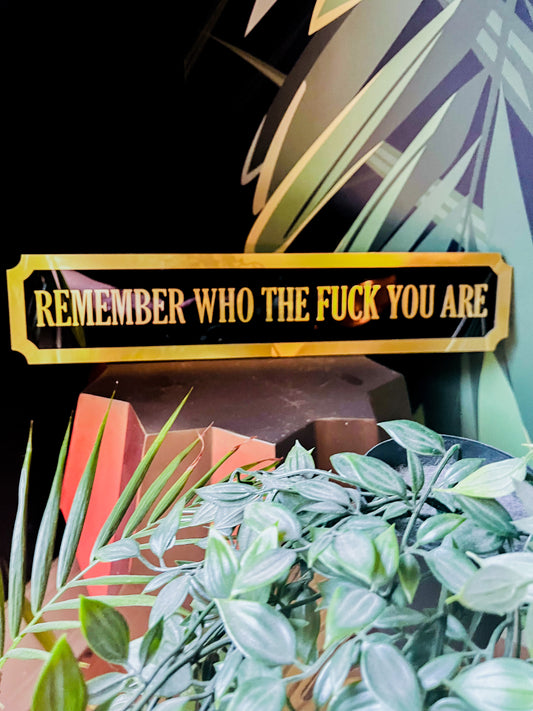 REMEMBER WHO THE FUCK YOU ARE Street style sign, wall decor.