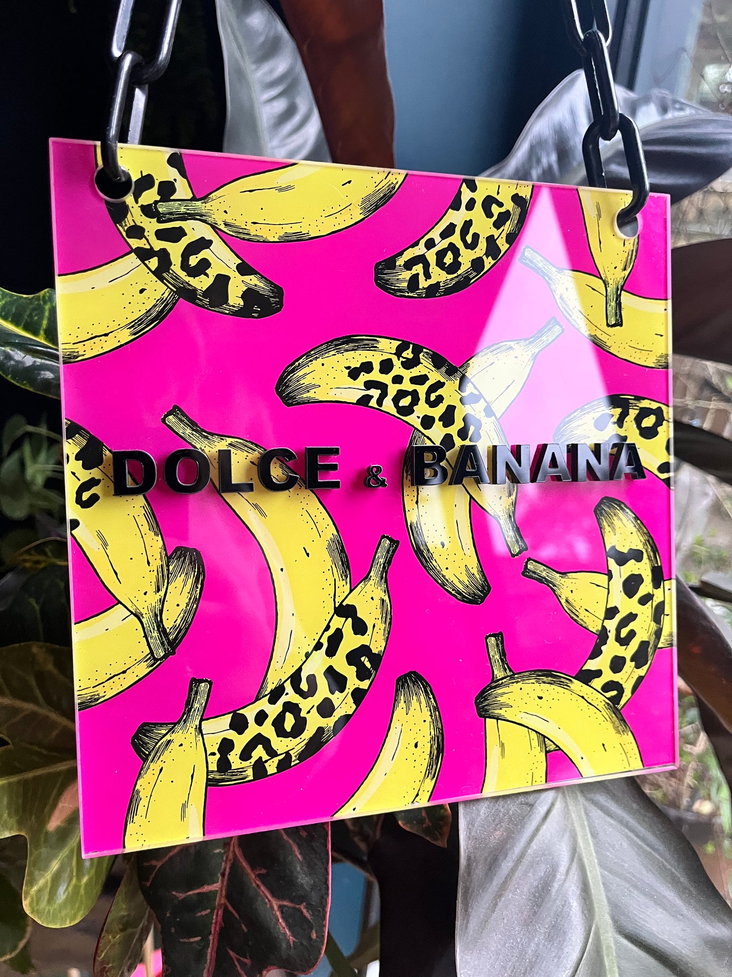 DOLCE & BANANA Acrylic Wall Art