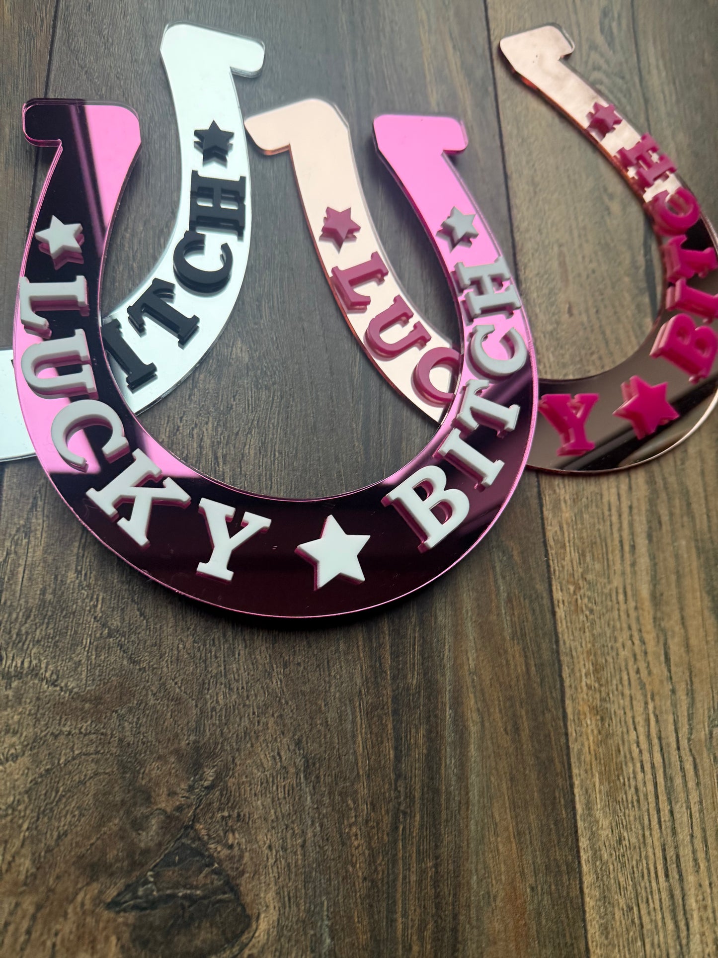 Lucky Bitch Horse Shoe Wall Art