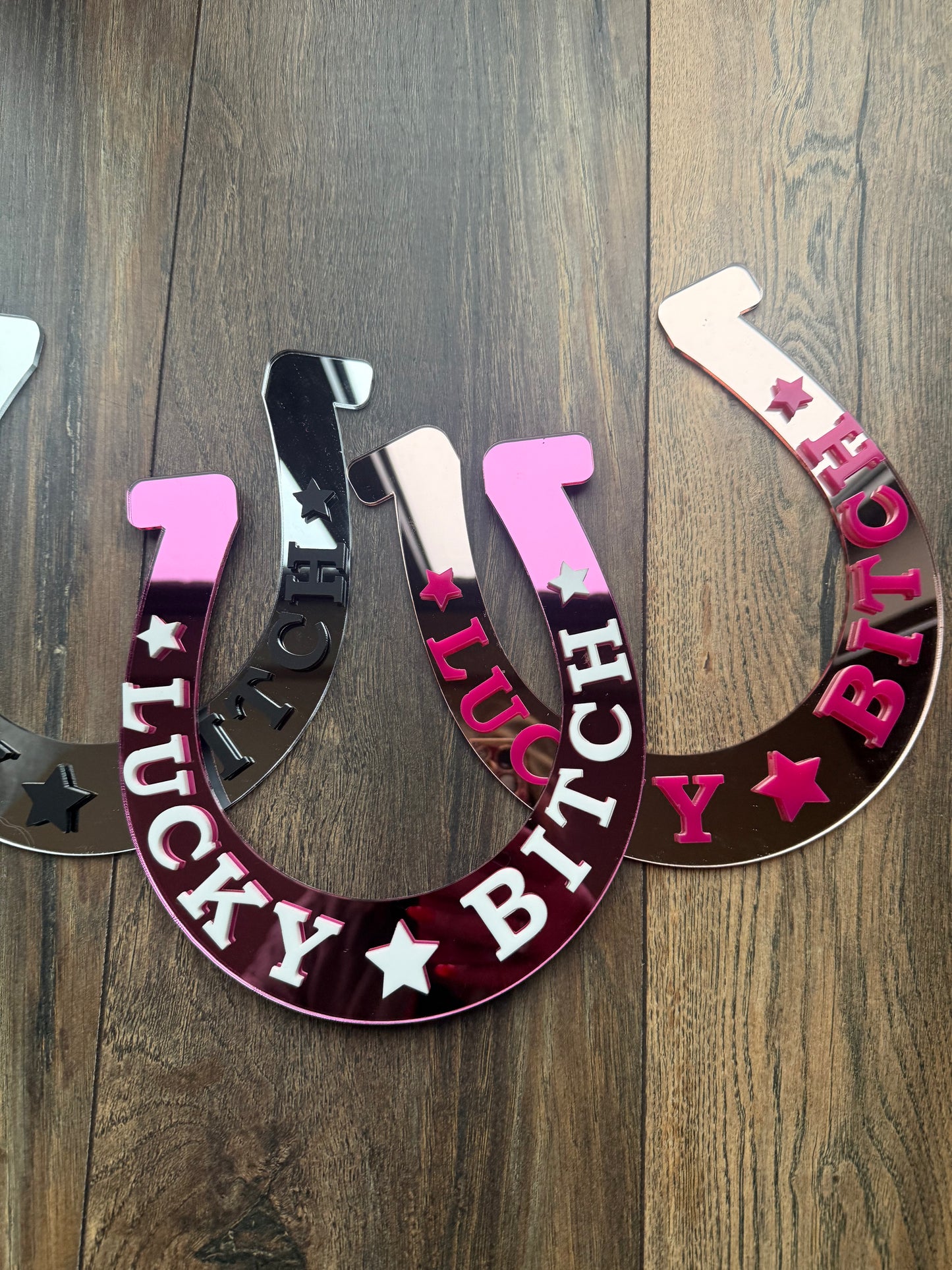 Lucky Bitch Horse Shoe Wall Art