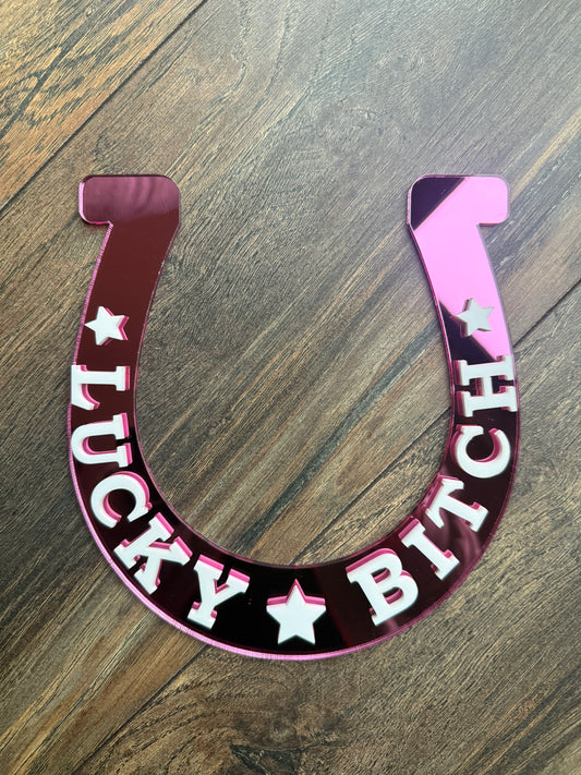 Lucky Bitch Horse Shoe Wall Art