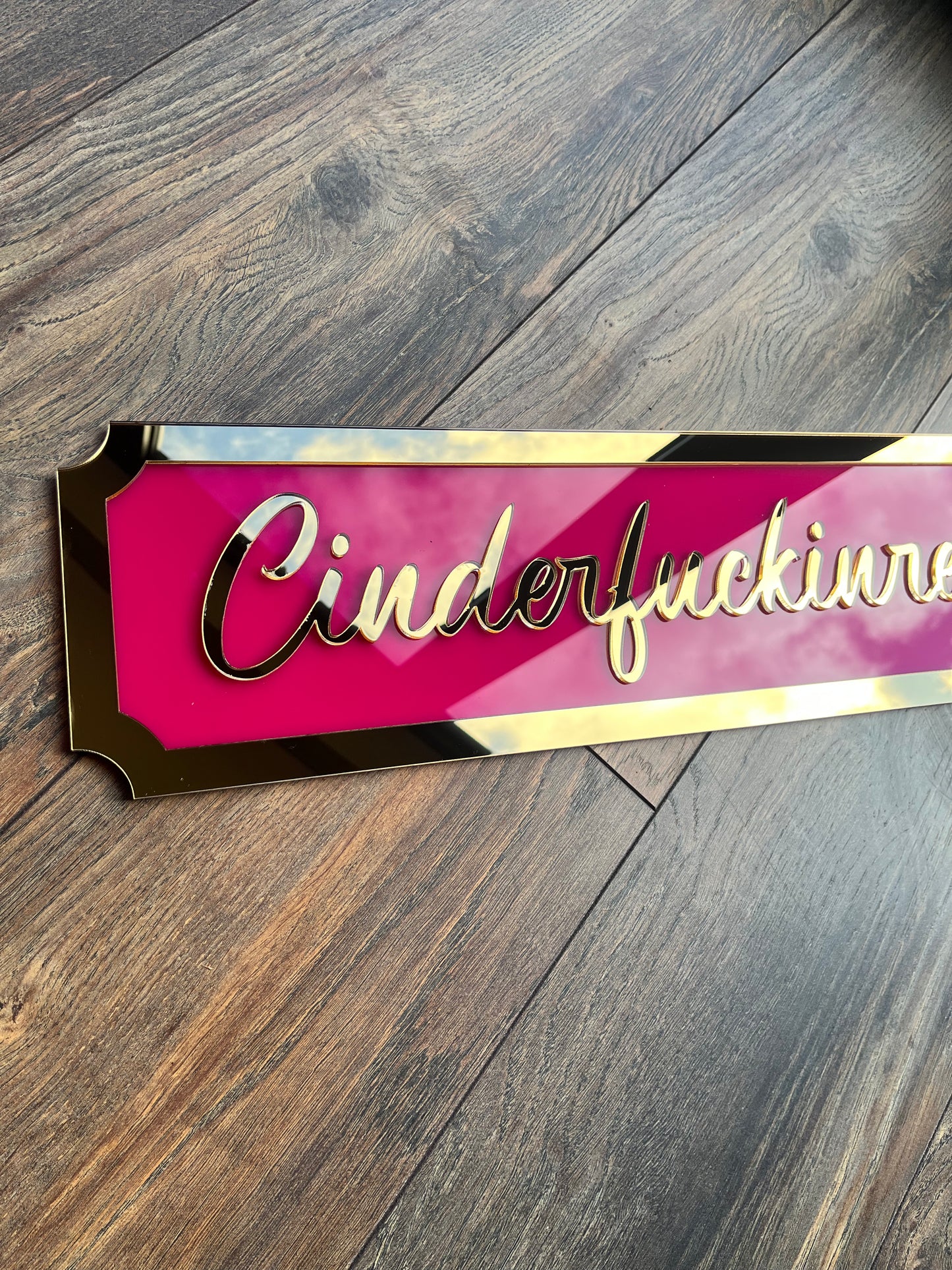 Cinderfuckinrella -  Street style sign, wall decor.
