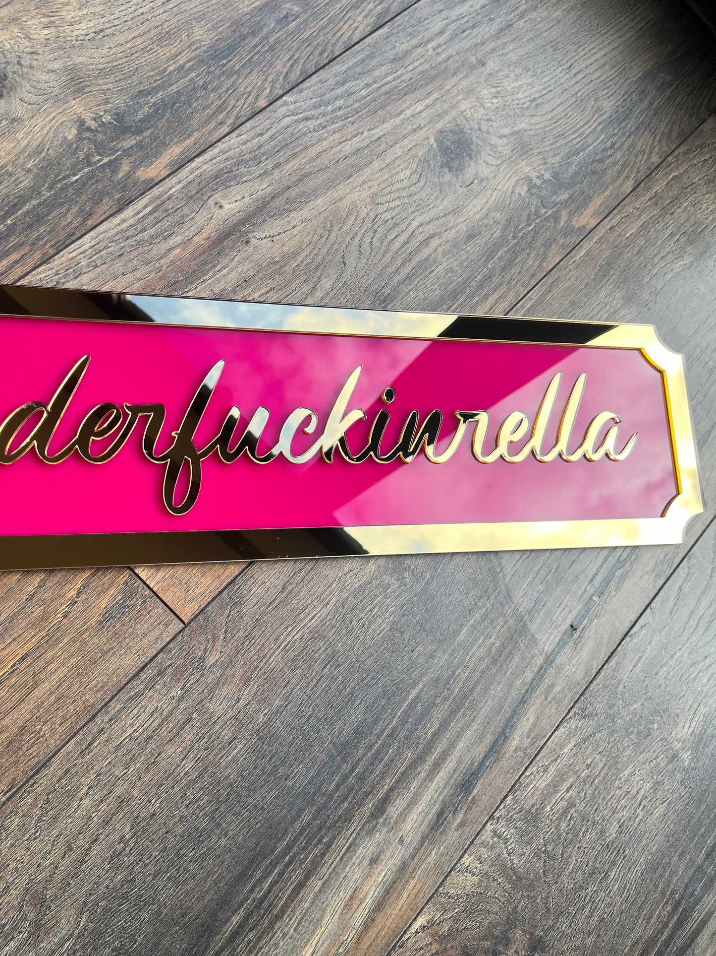 Cinderfuckinrella -  Street style sign, wall decor.
