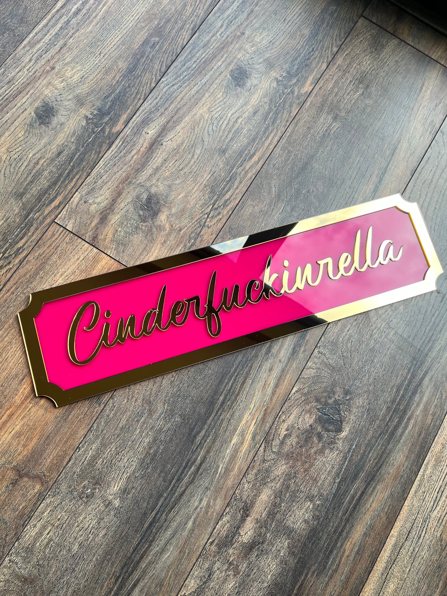Cinderfuckinrella -  Street style sign, wall decor.