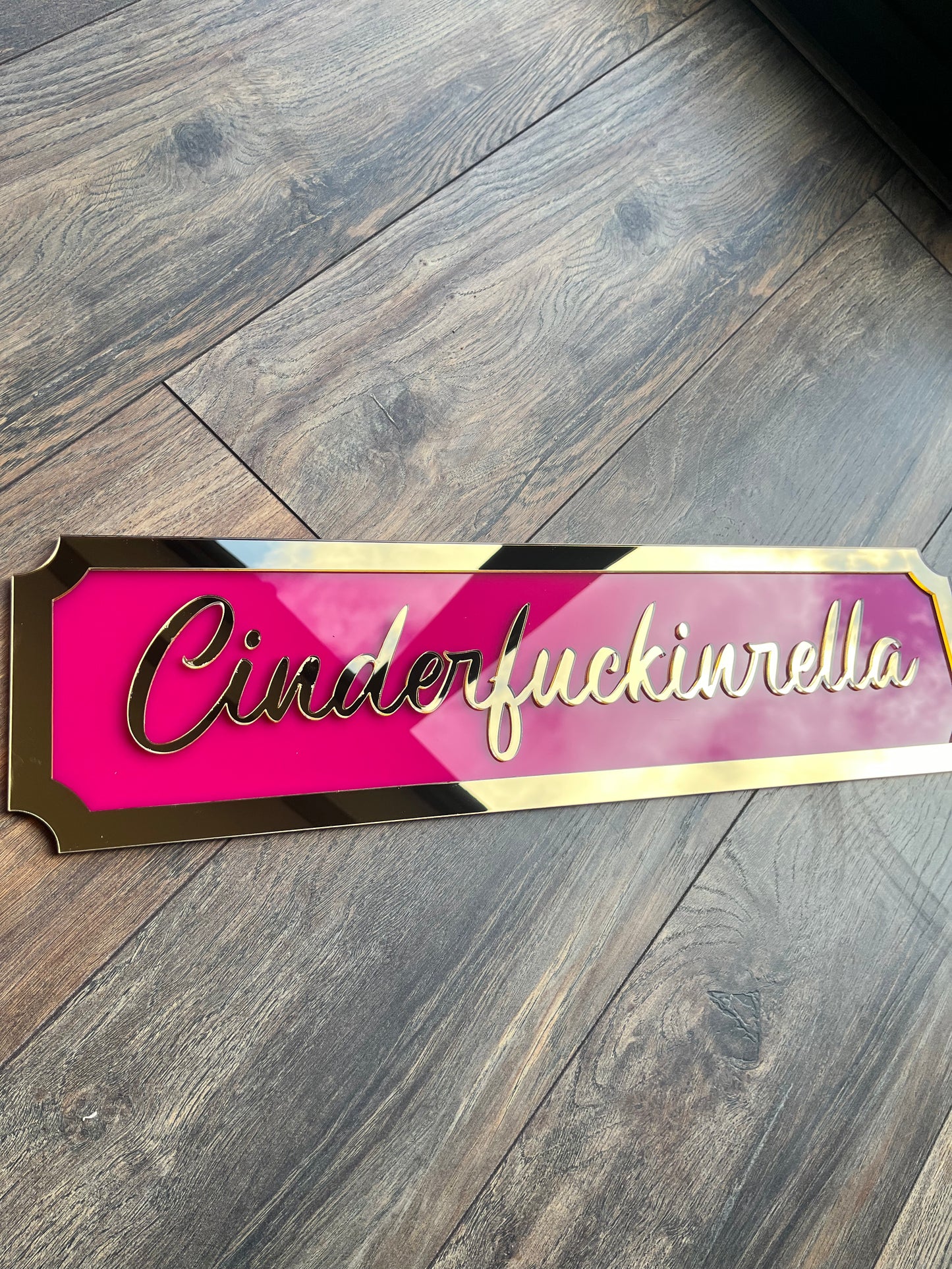 Cinderfuckinrella -  Street style sign, wall decor.