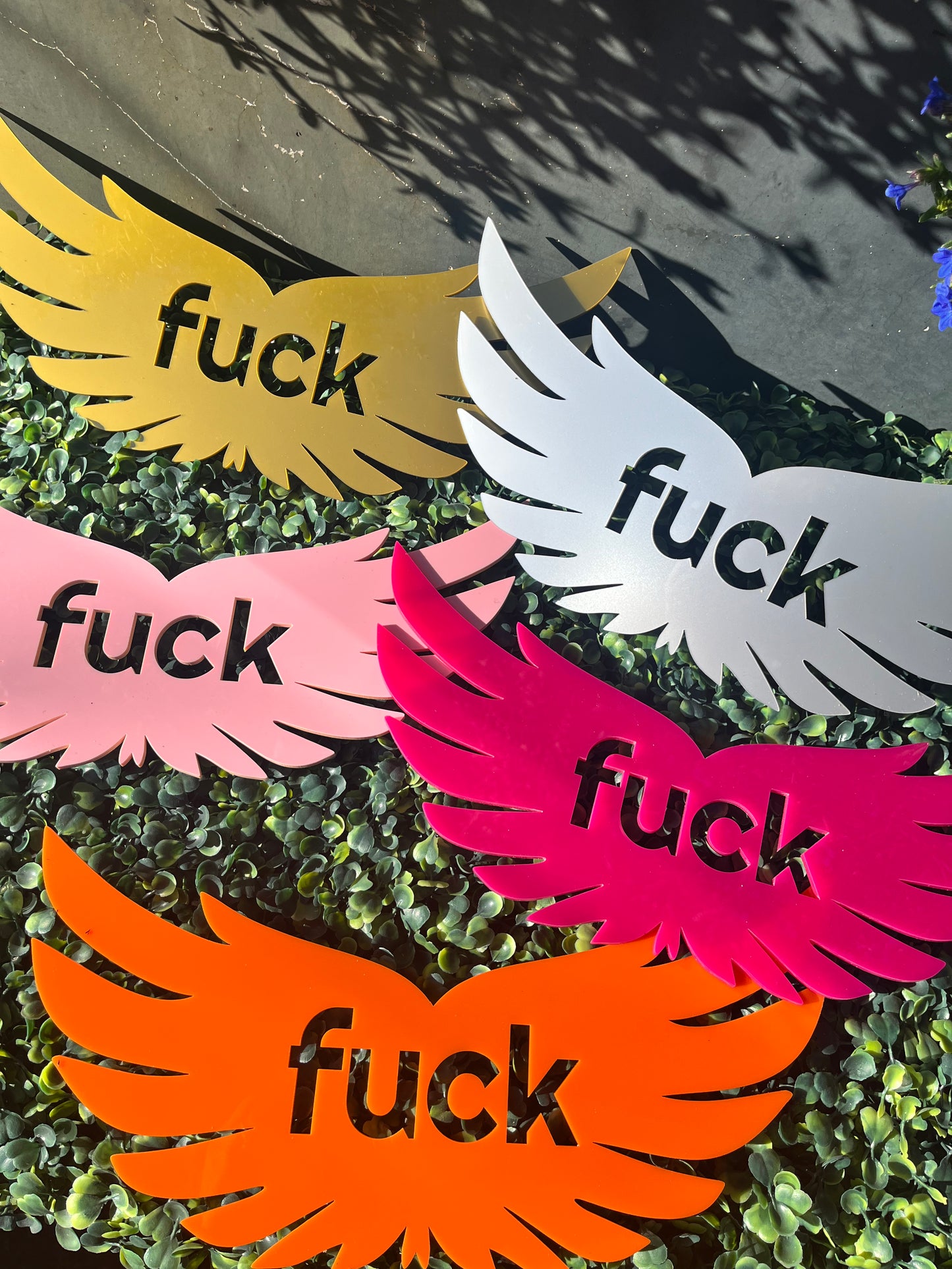 Flying Fuck Wall Decor