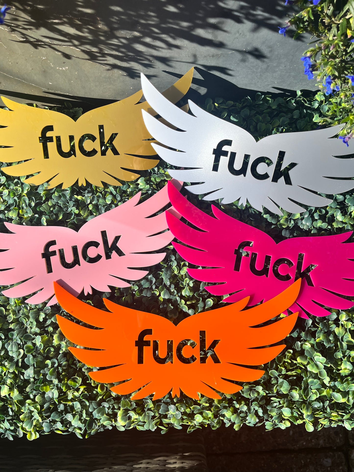 Flying Fuck Wall Decor