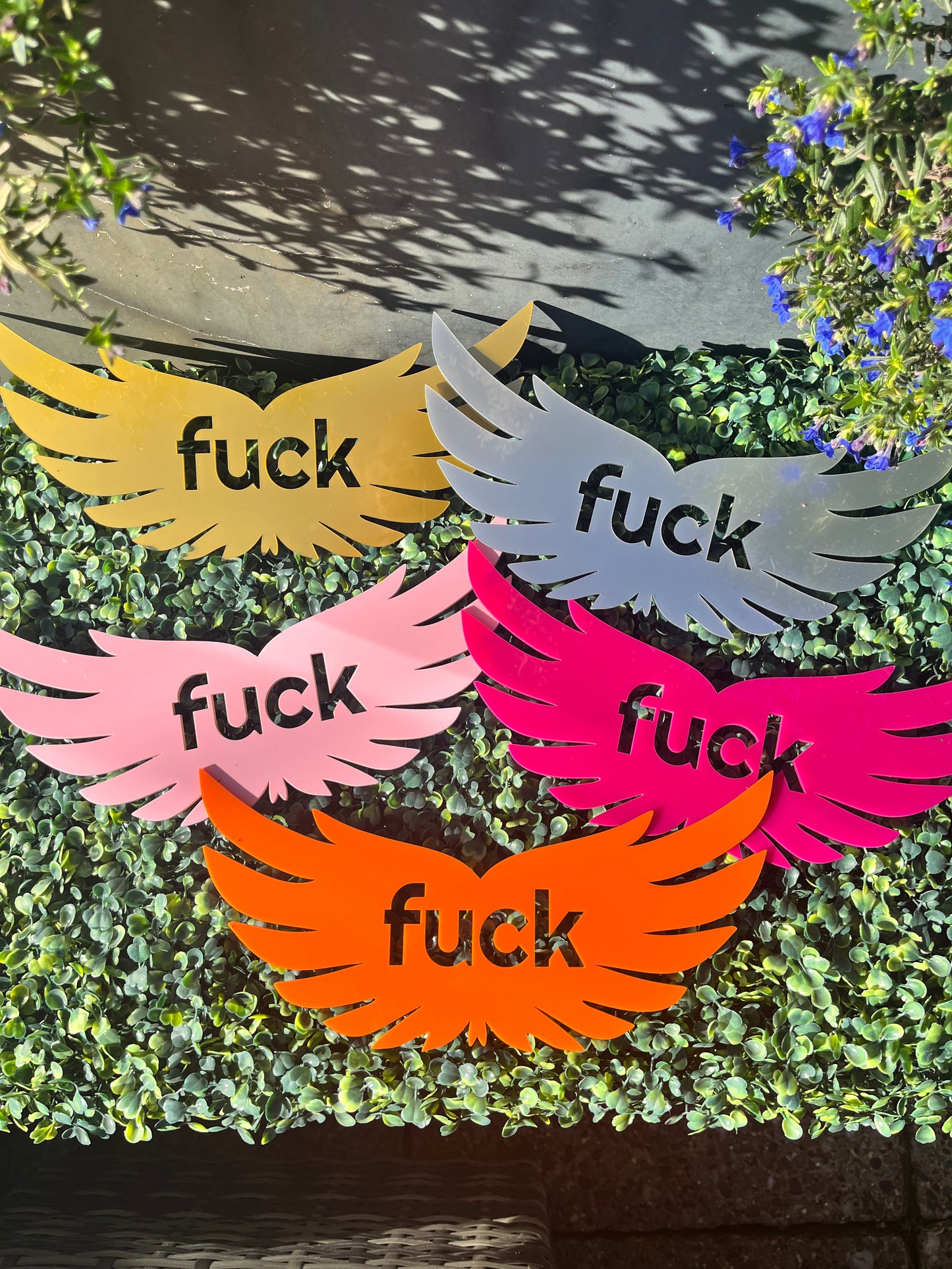 Flying Fuck Wall Decor