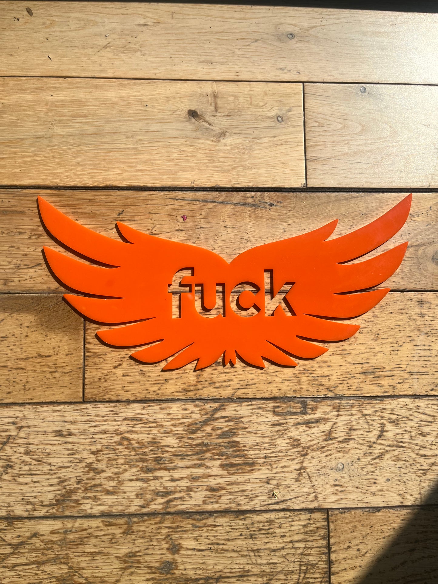 SAMPLE Flying Fuck Wall Decor