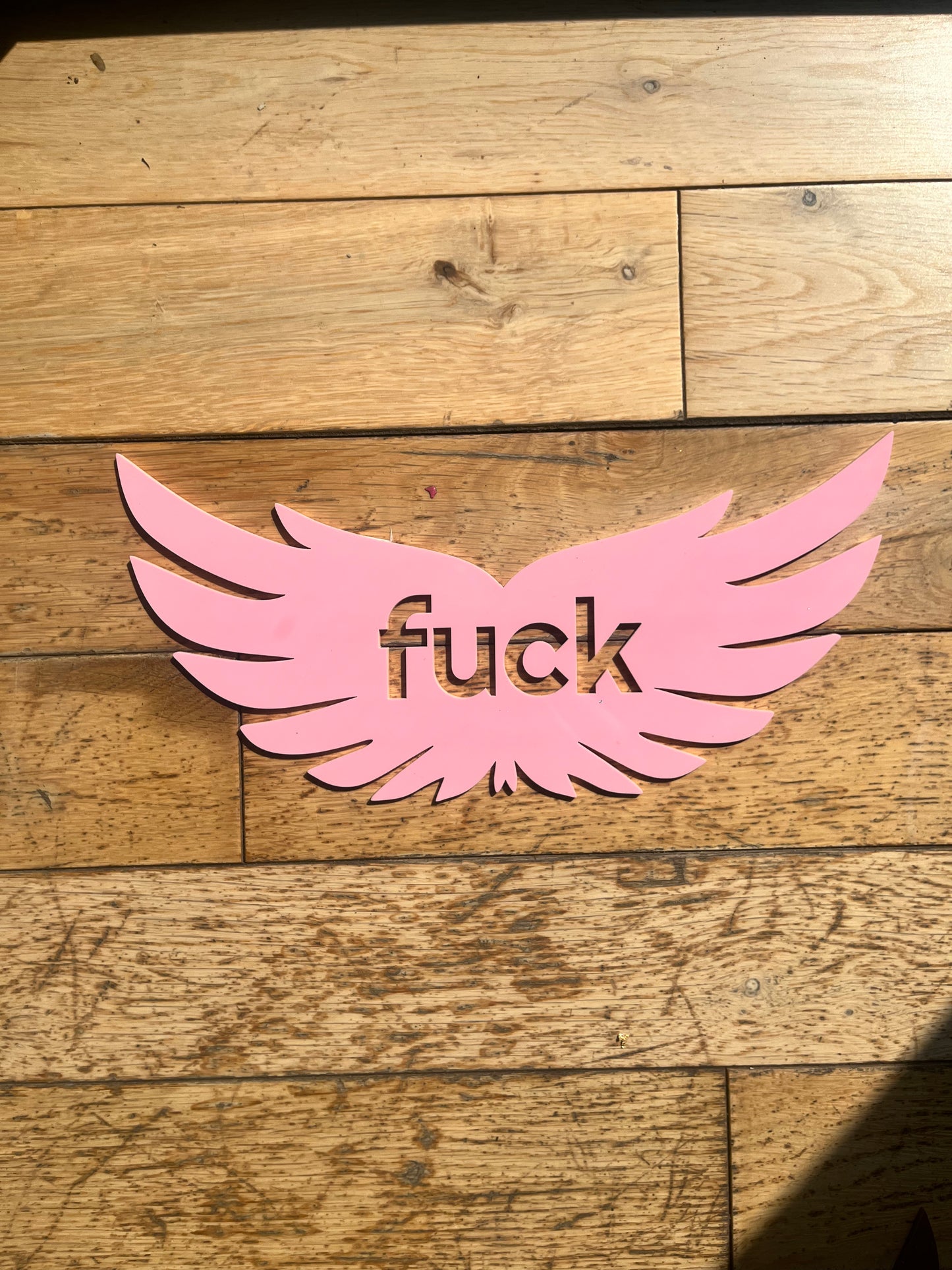 SAMPLE Flying Fuck Wall Decor