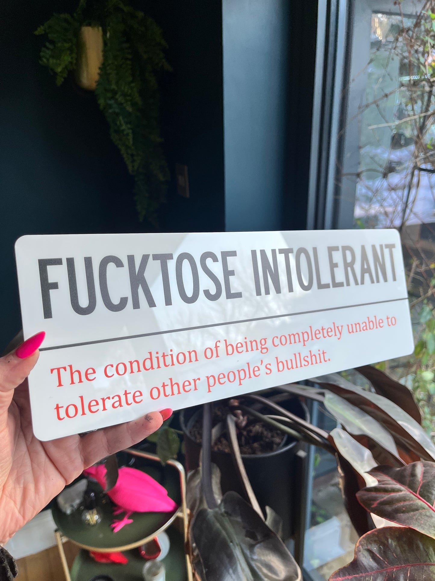 FUCKTOSE INTOLERANT Wall Sign