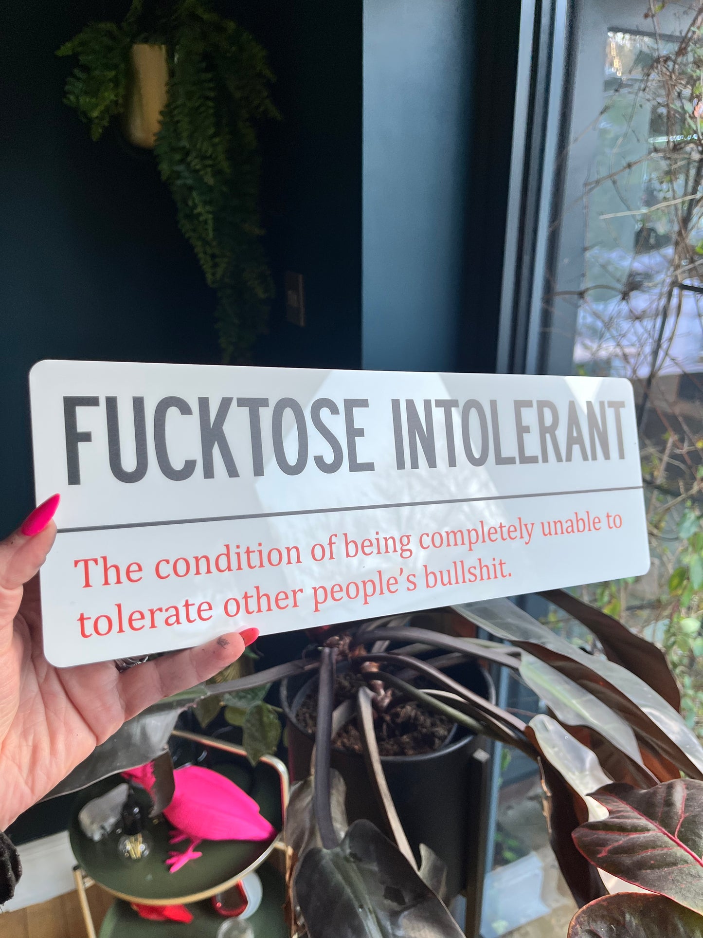 FUCKTOSE INTOLERANT Wall Sign