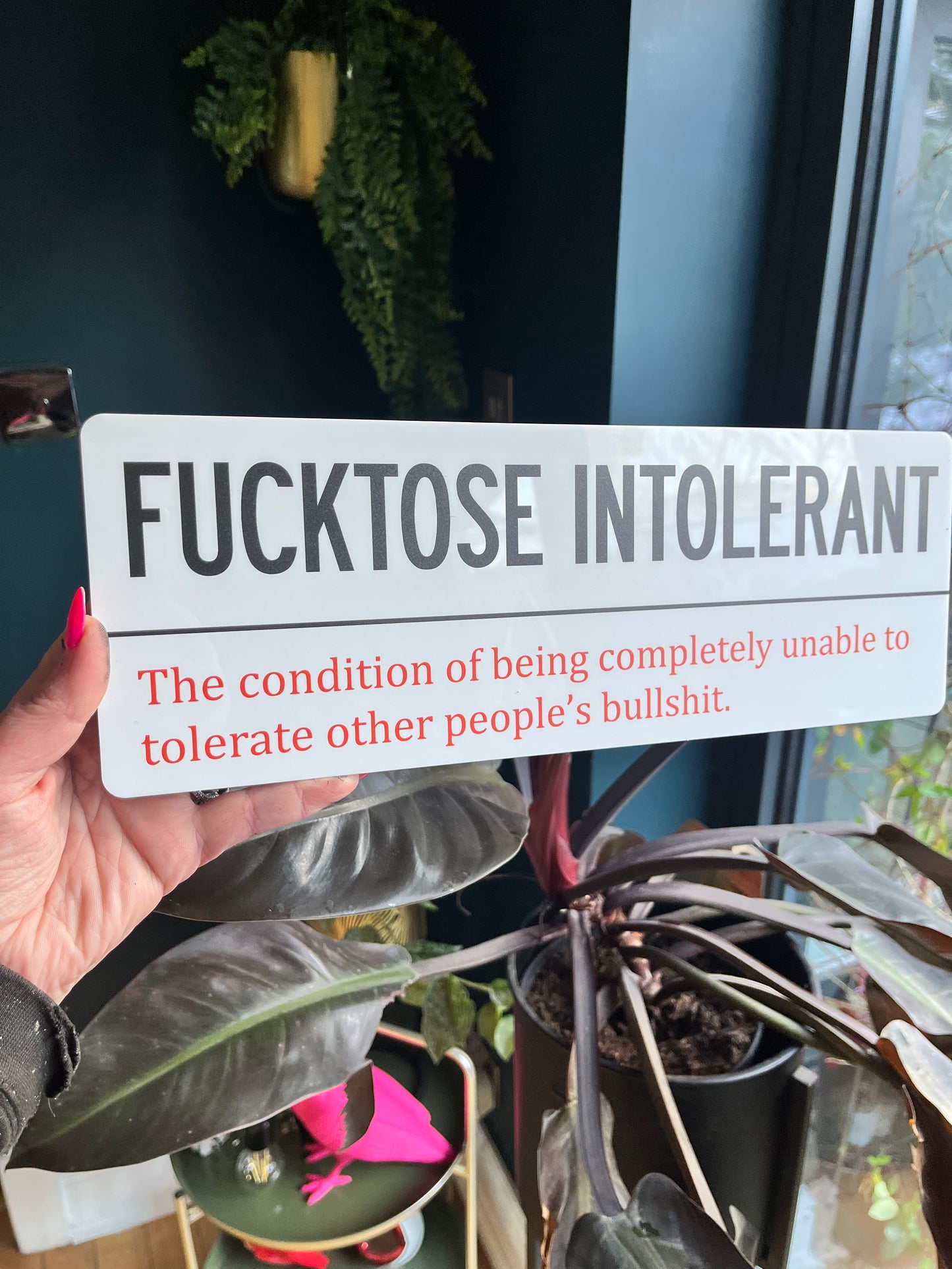 FUCKTOSE INTOLERANT Wall Sign