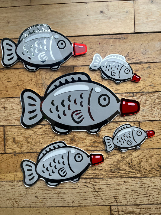 Soy Sauce Fish Mirror Wall Art