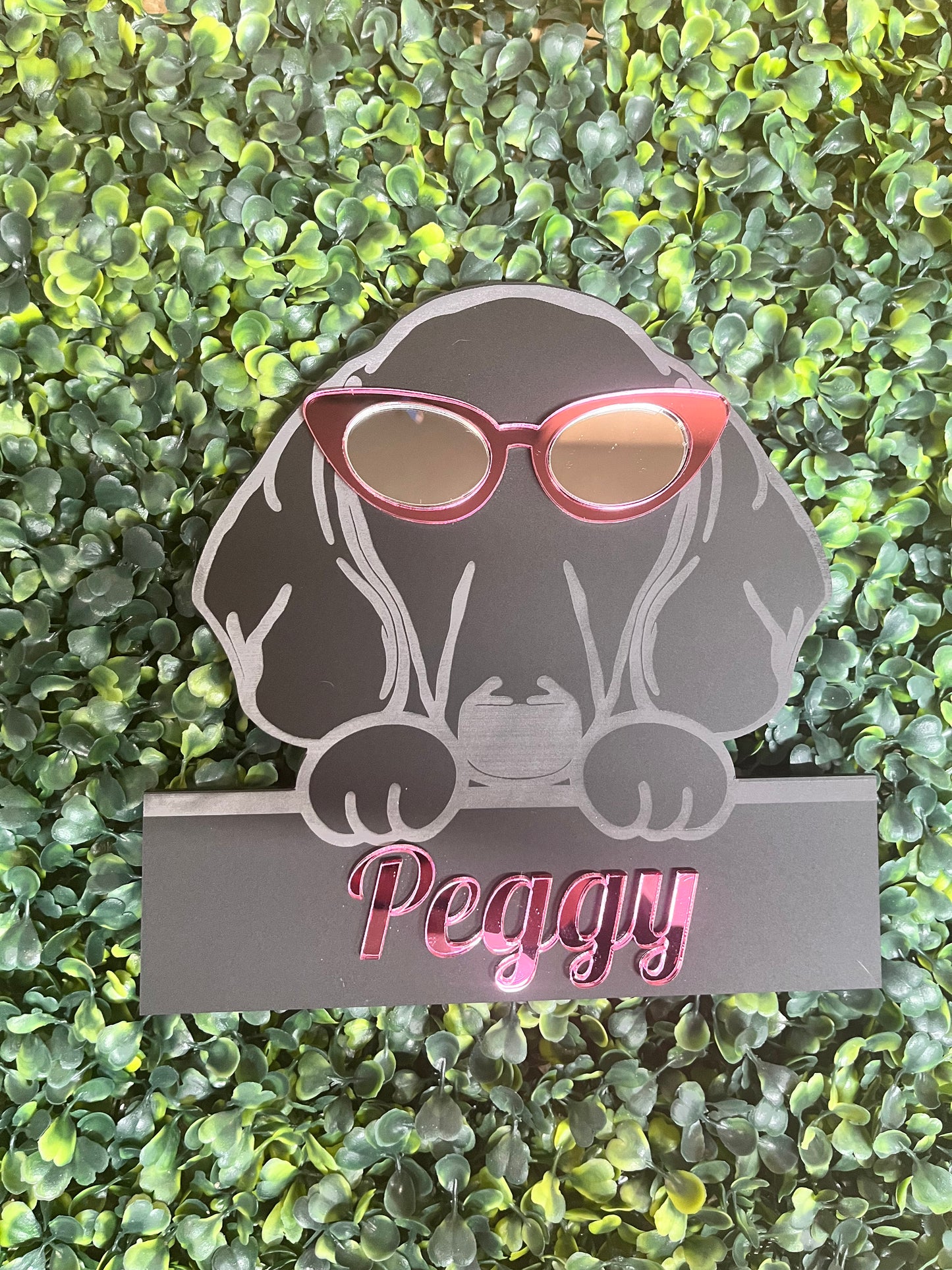Pimp up your Pooch - Wall Art - Signage