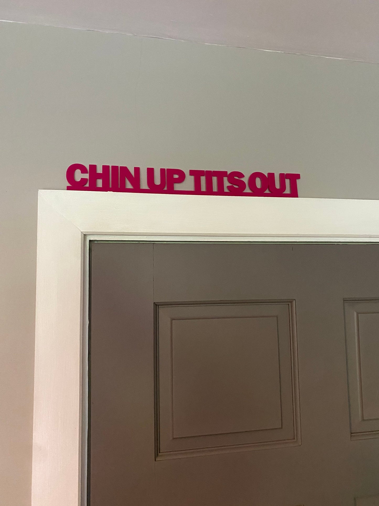 CHIN up TITS out -  door topper, shelf decor, wall decor