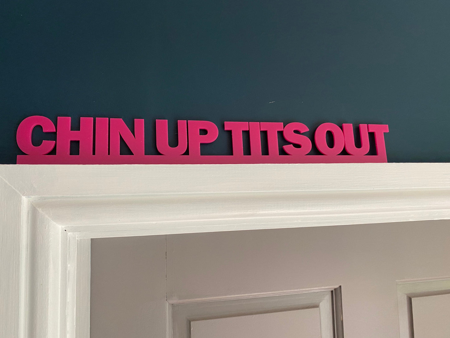 CHIN up TITS out -  door topper, shelf decor, wall decor