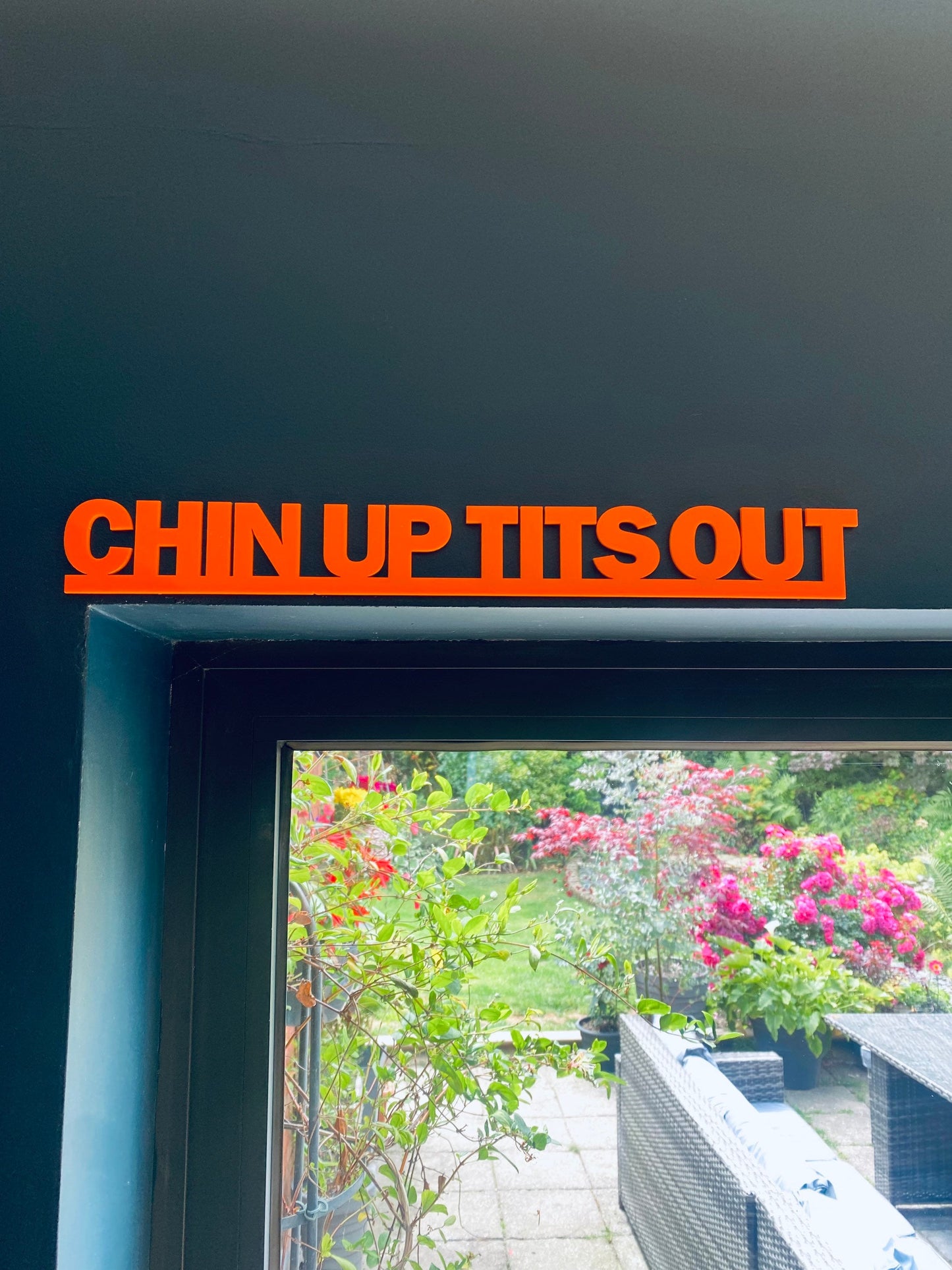 CHIN up TITS out -  door topper, shelf decor, wall decor