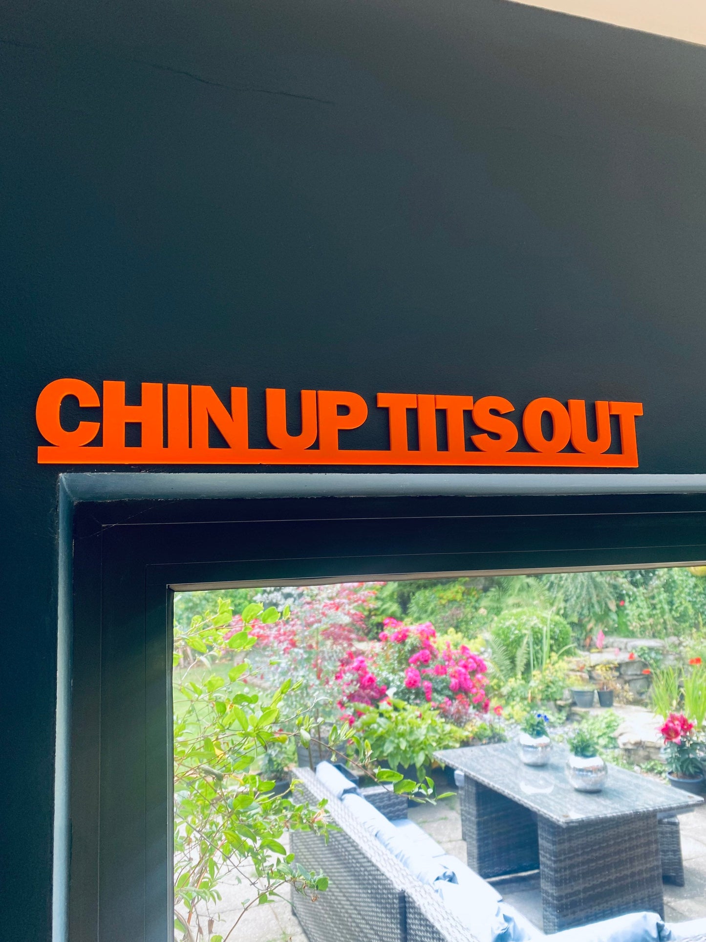 CHIN up TITS out -  door topper, shelf decor, wall decor