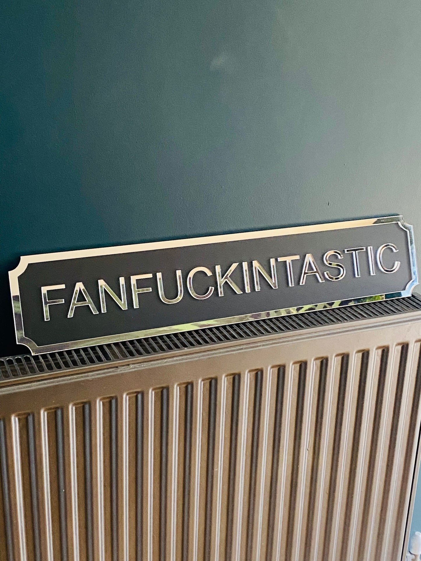 FANFUCKINTASTIC Street style sign, wall decor.