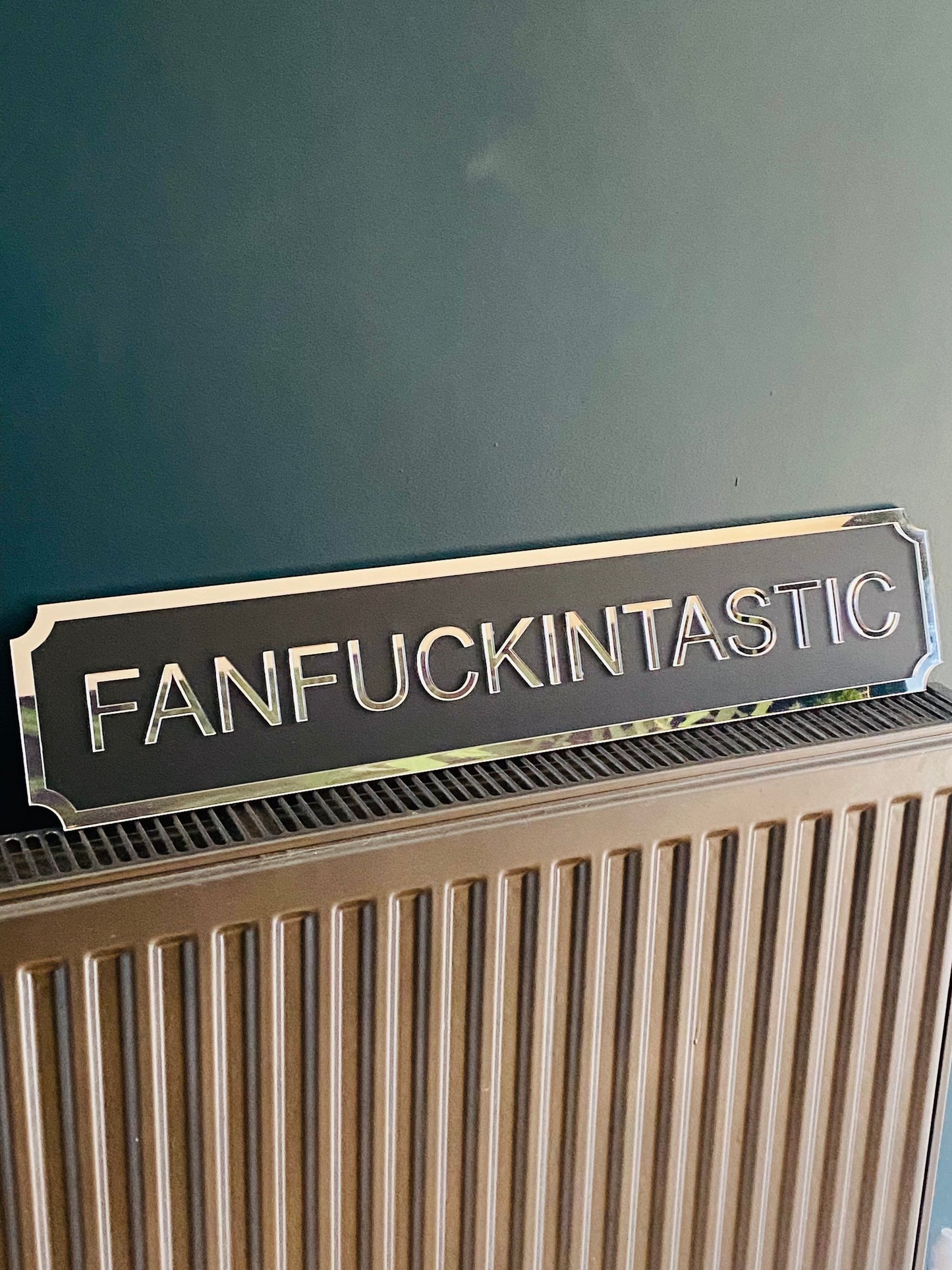 FANFUCKINTASTIC Street style sign, wall decor.