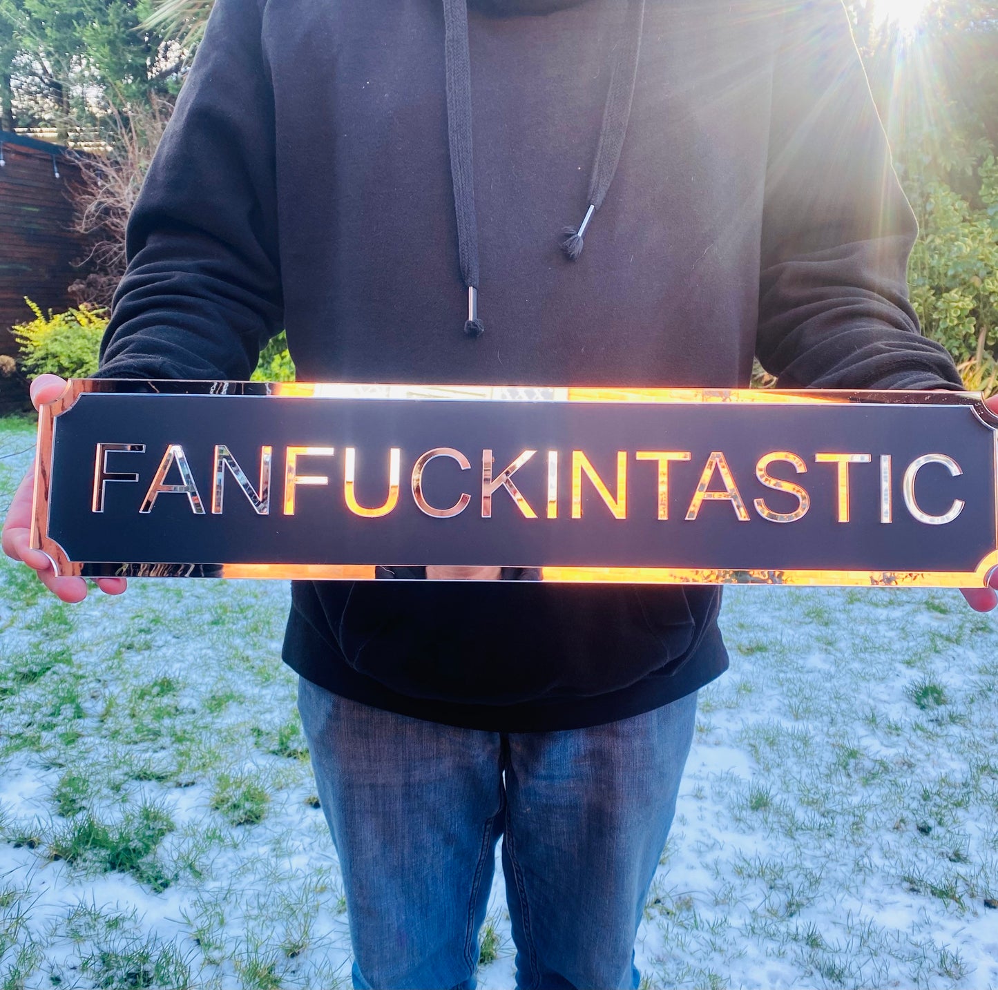 FANFUCKINTASTIC Street style sign, wall decor.